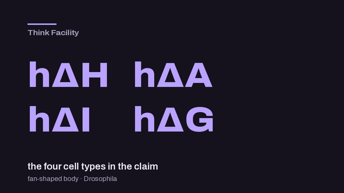 The four cell names hDeltaH, hDeltaA, hDeltaI and hDeltaG set large in lavender type on a near-black ground, above the line "the four cell types in the claim".